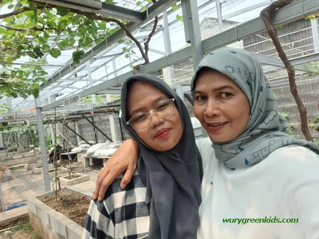 wury green kids bekasi